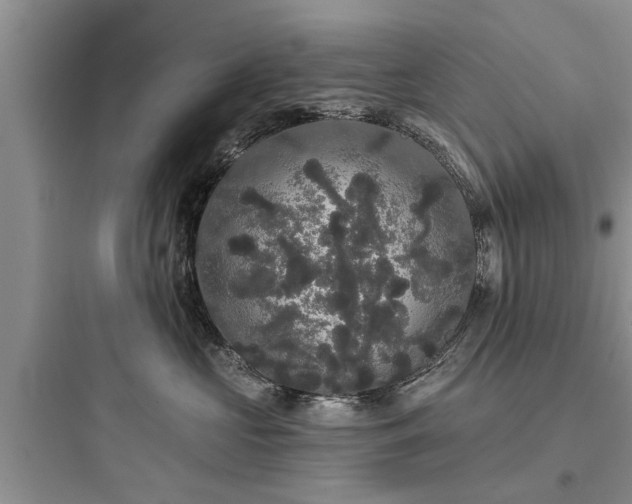 X0000097910573200803211507