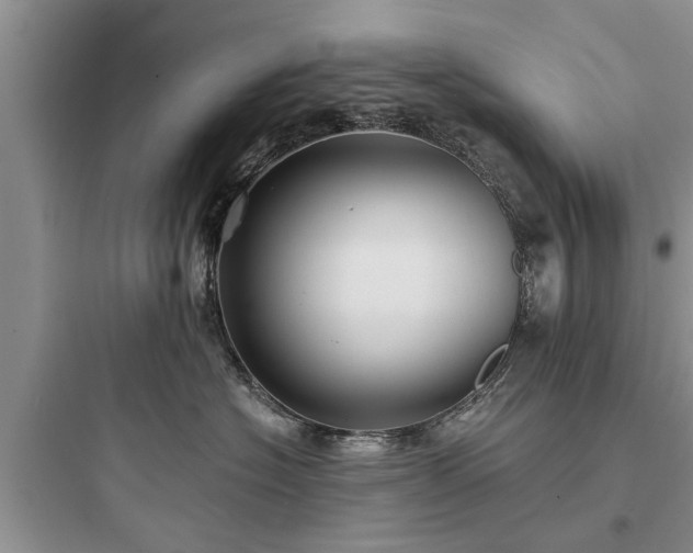 X0000097910574200803211507