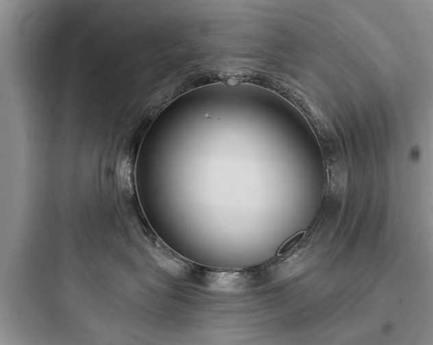 X0000097910575200803211507