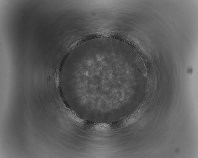 X0000097910576200803211507