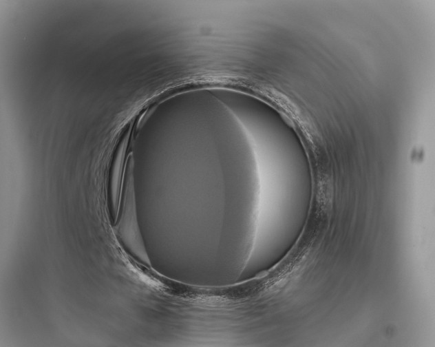 X0000097910577200803211507