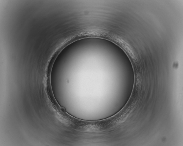 X0000097910578200803211507