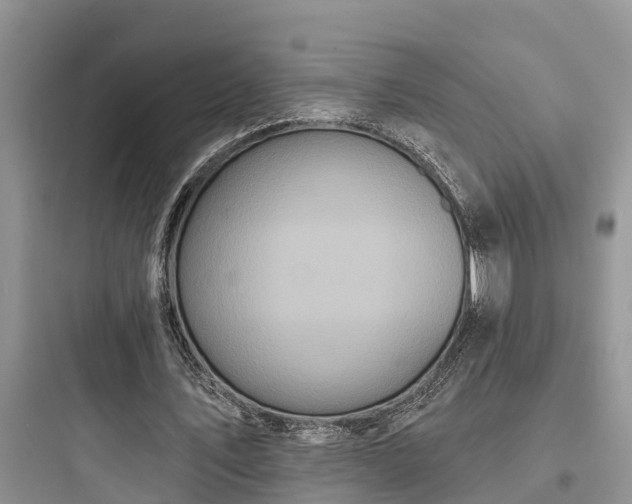 X0000097910579200803211507