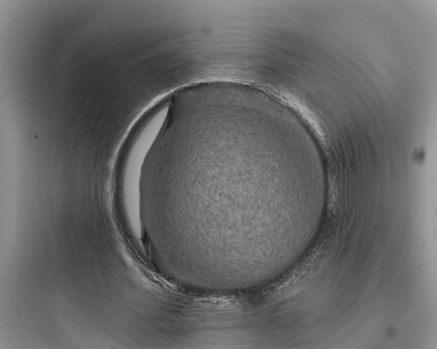 X0000097910580200803211507