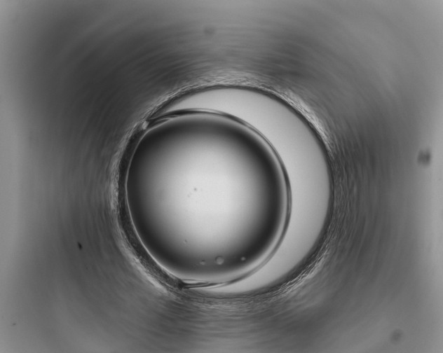 X0000097910581200803211507