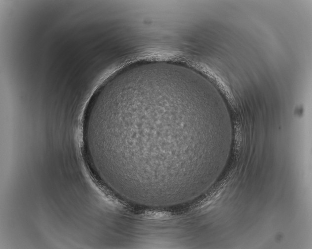 X0000097910582200803211507