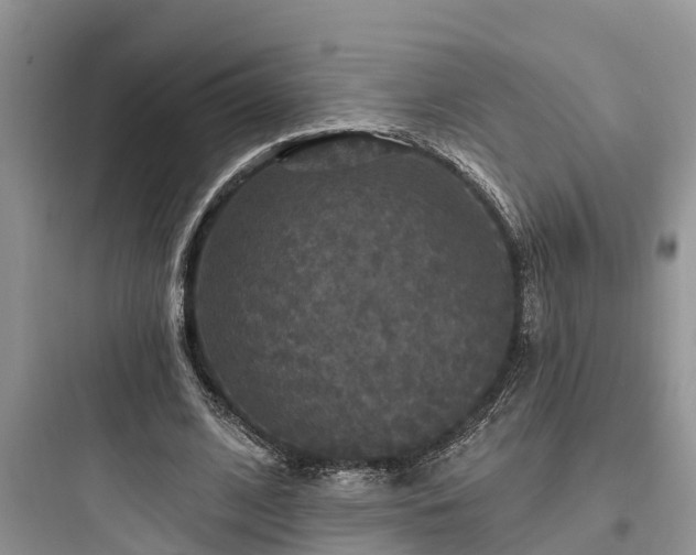 X0000097910584200803211506