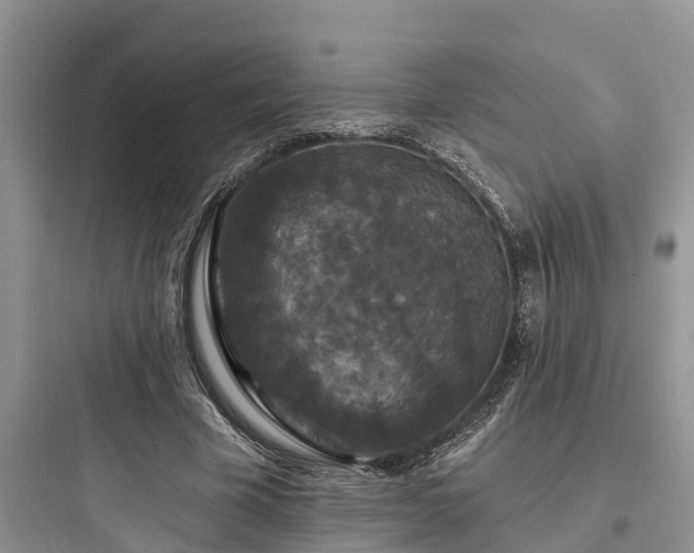 X0000097910585200803211506