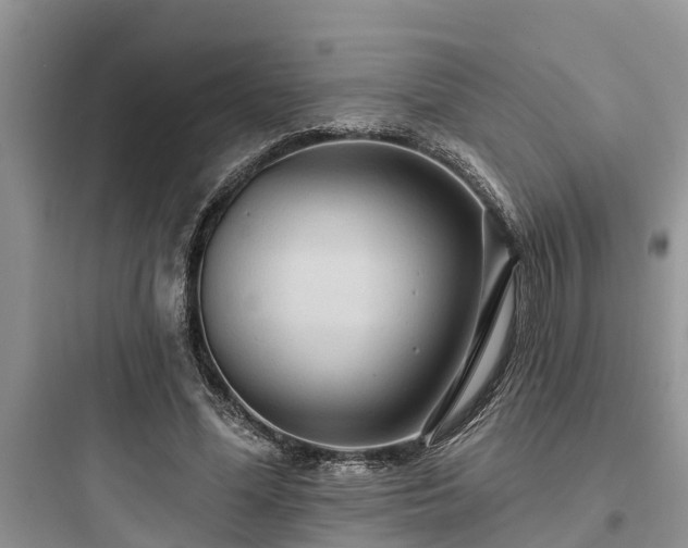 X0000097910588200803211506