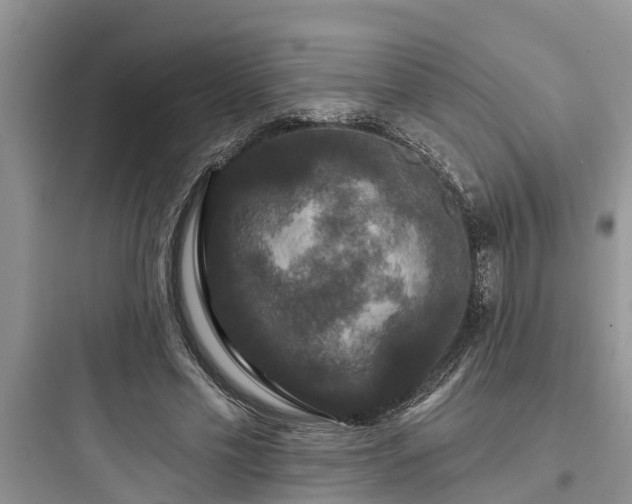 X0000097910589200803211506