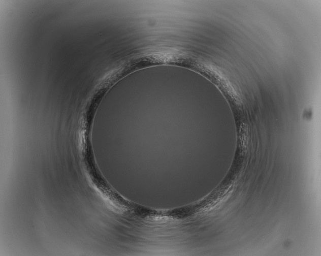 X0000097910590200803211506