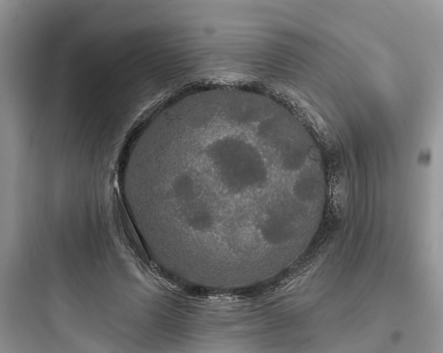 X0000097910591200803211506