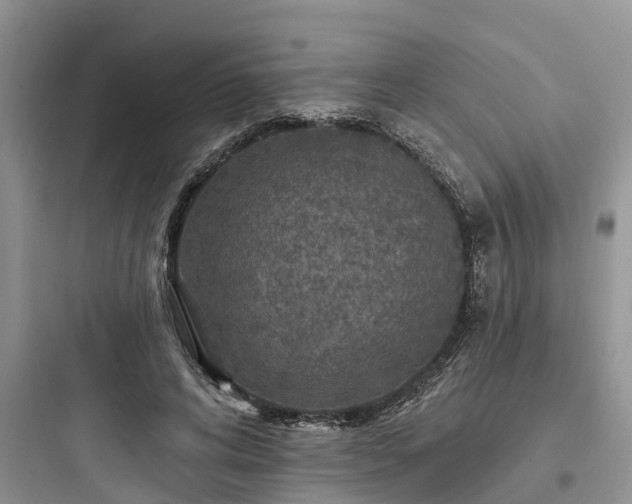 X0000097910592200803211506