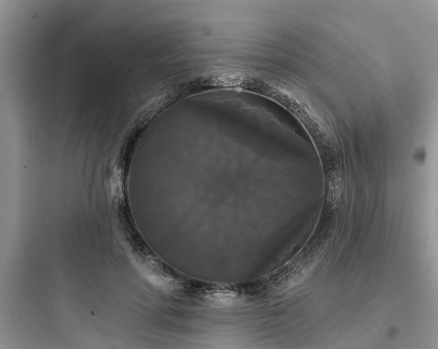 X0000097910598200803211506