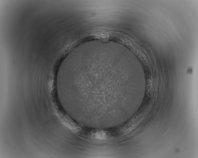 X0000097910600200803211506