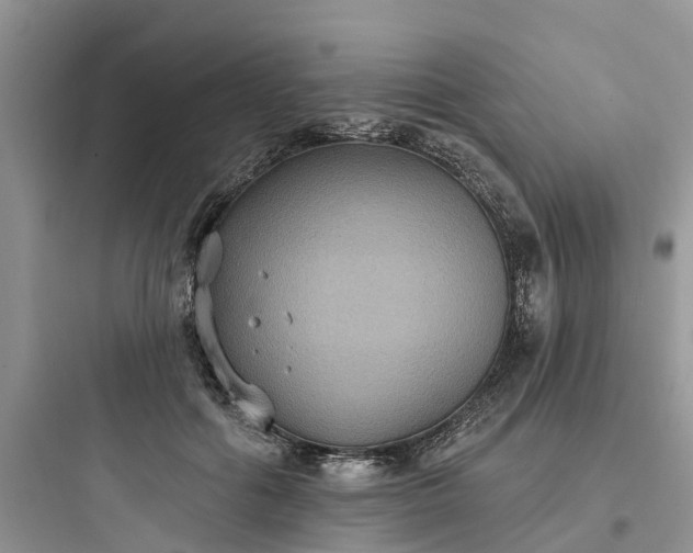 X0000097910602200803211506