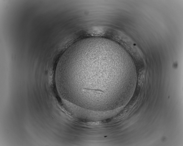 X0000097910604200803211506