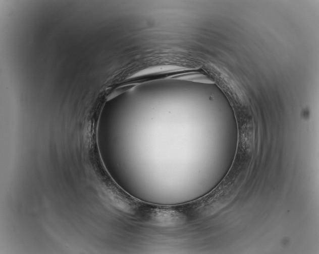 X0000097910605200803211506