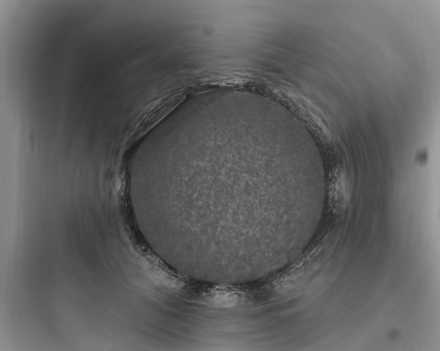 X0000097910608200803211506