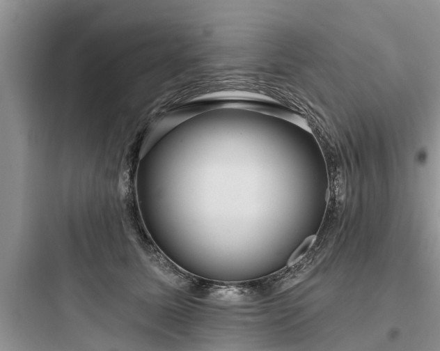 X0000097910611200803211506