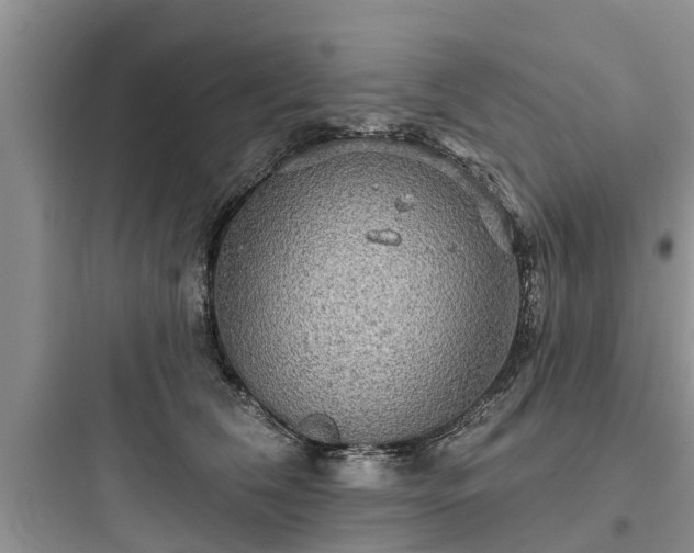 X0000097910612200803211506