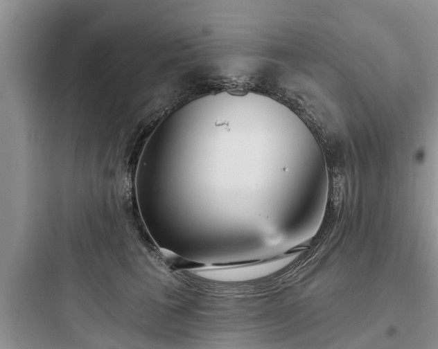 X0000097910613200803211506