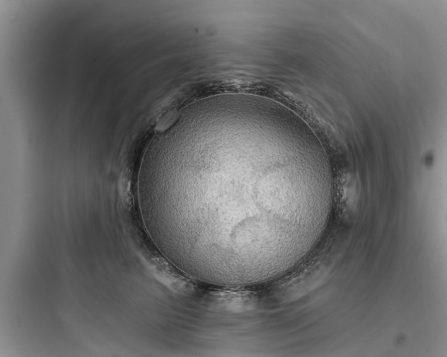 X0000097910615200803211506