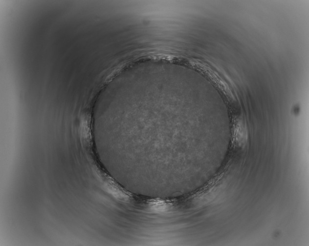 X0000097910616200803211506