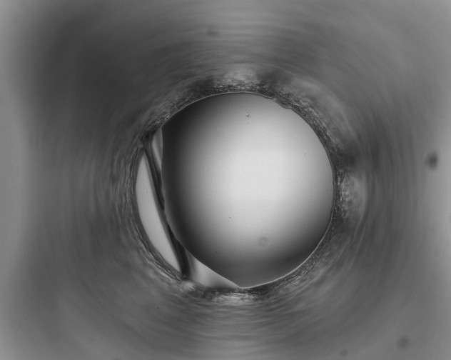 X0000097910617200803211506