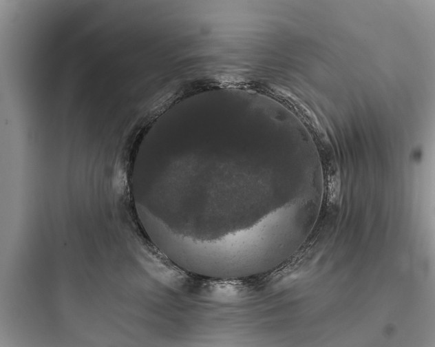 X0000097910618200803211506