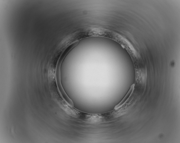 X0000097910621200803211506