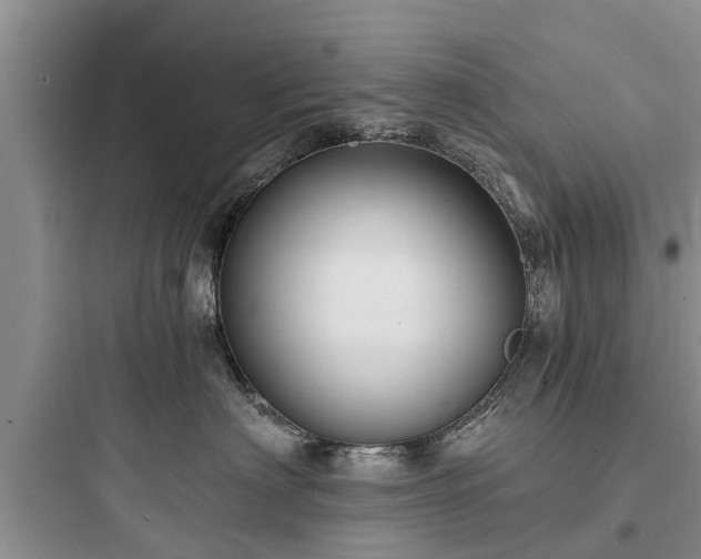 X0000097910622200803211506