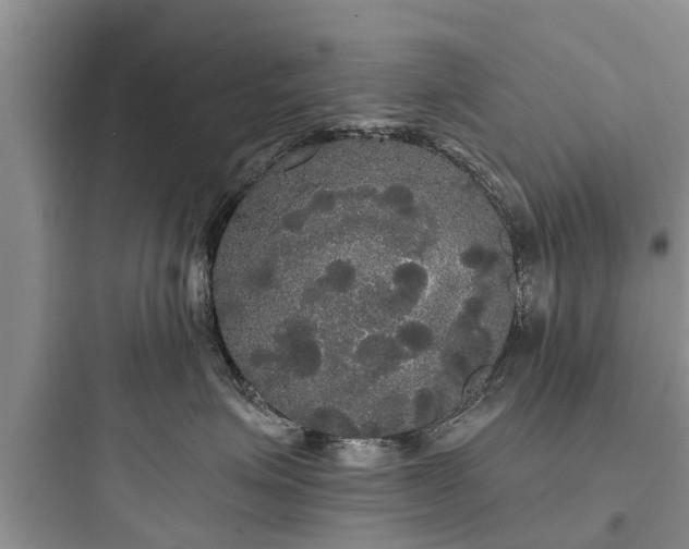 X0000097910623200803211506