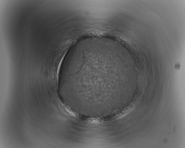 X0000097910624200803211506