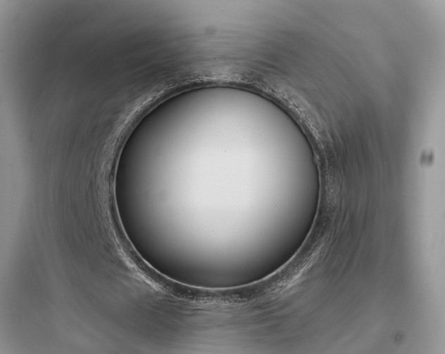 X0000097910625200803211505