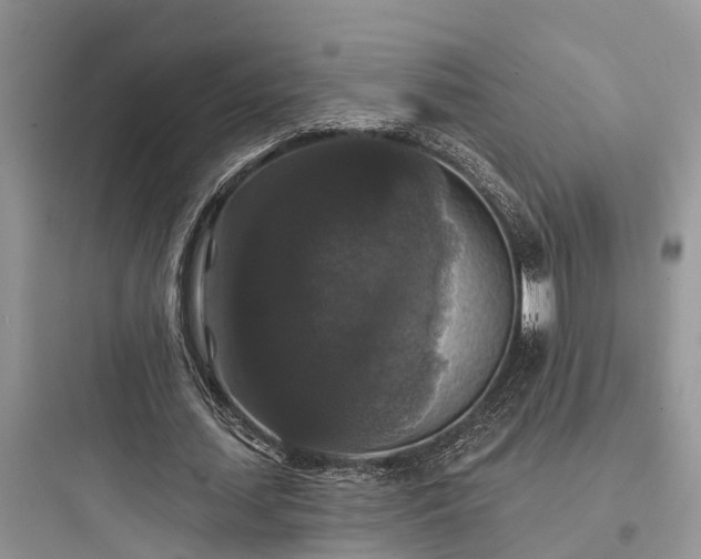 X0000097910627200803211505