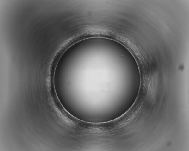 X0000097910629200803211505