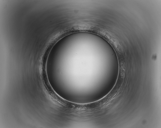 X0000097910631200803211505