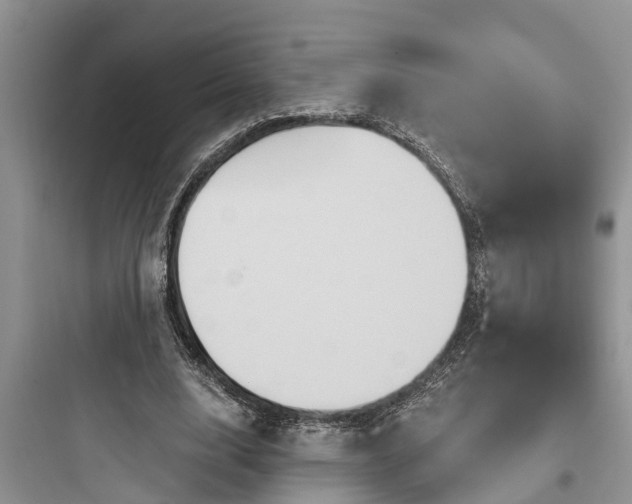 X0000097910632200803211505