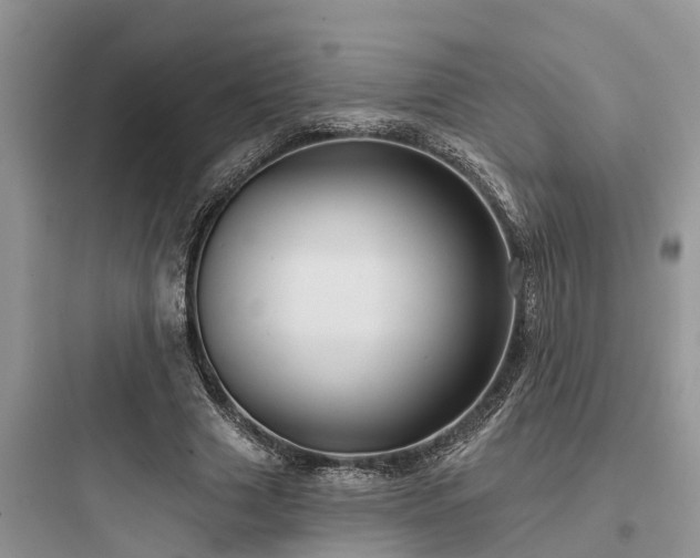 X0000097910633200803211505