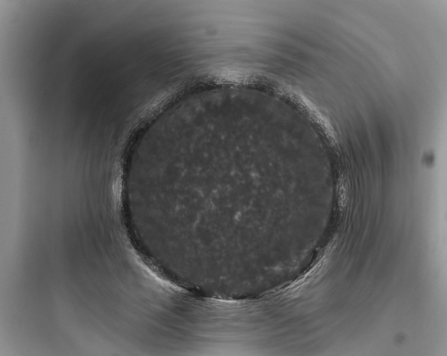 X0000097910637200803211505