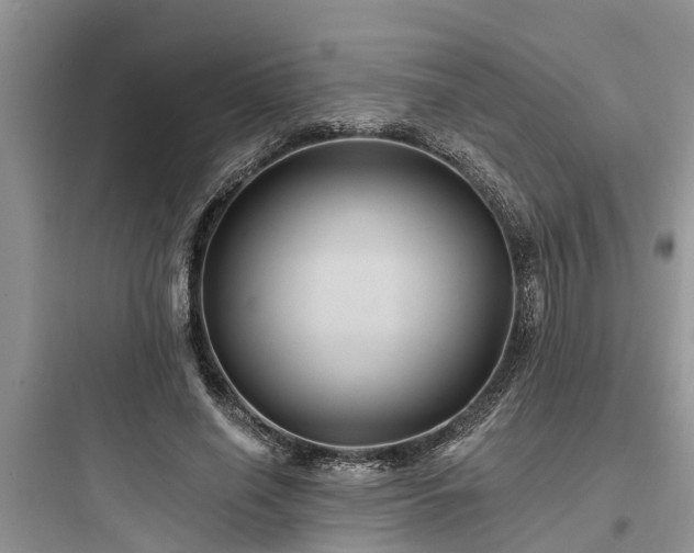 X0000097910638200803211505