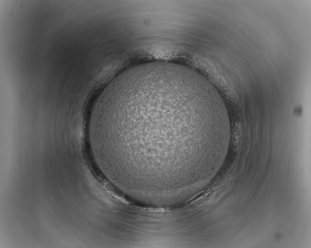 X0000097910639200803211505