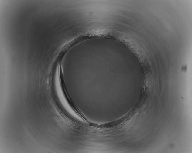 X0000097910640200803211505