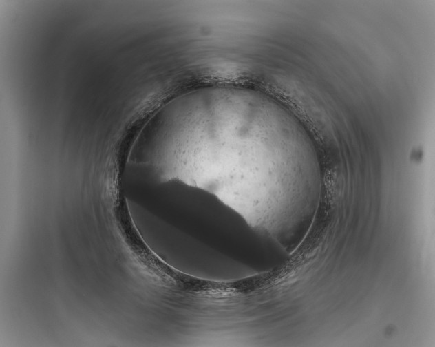 X0000097910642200803211506