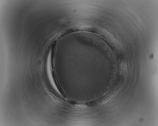 X0000097910644200803211506