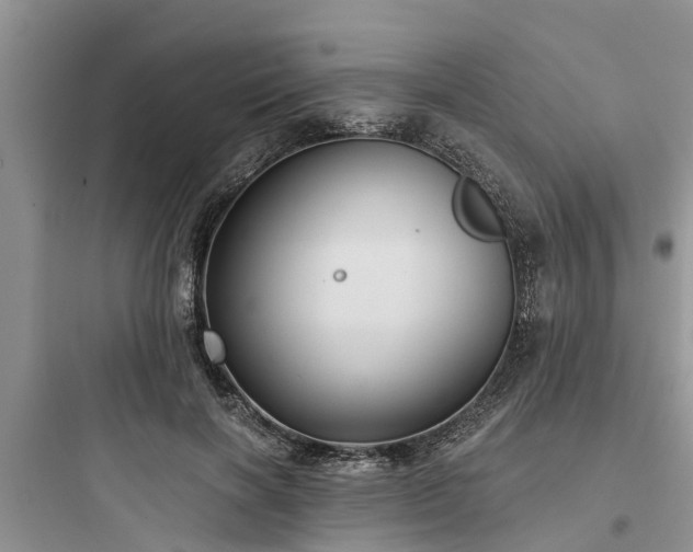 X0000097910646200803211506