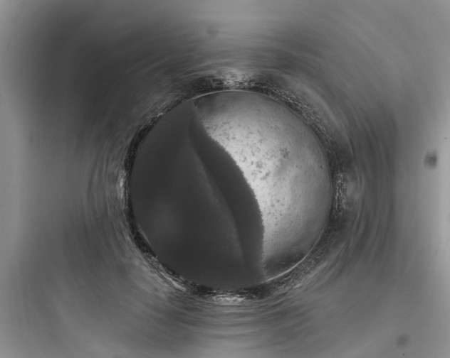 X0000097910650200803211506