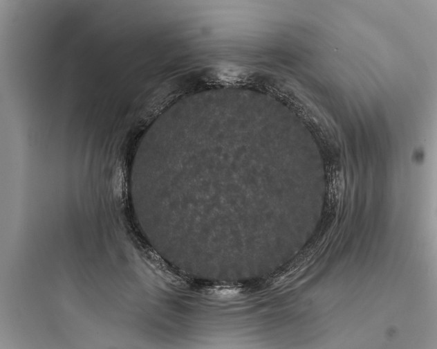 X0000097910651200803211506