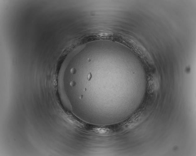 X0000097910654200803211506